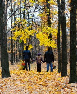 Family Law Appeals in South Florida