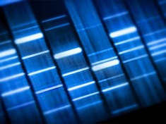 Paternity Tests in South Florida